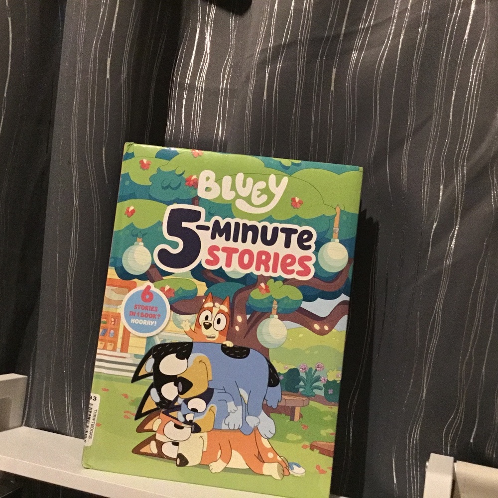 LAST CHANCE Bluey 5 minute stories large book